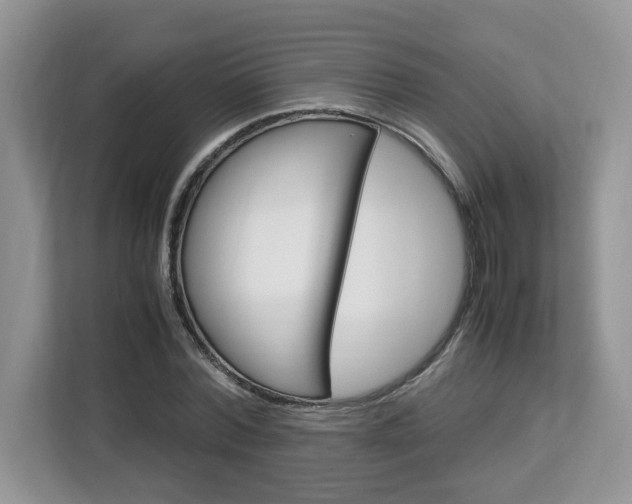 X0000113090780200908281006