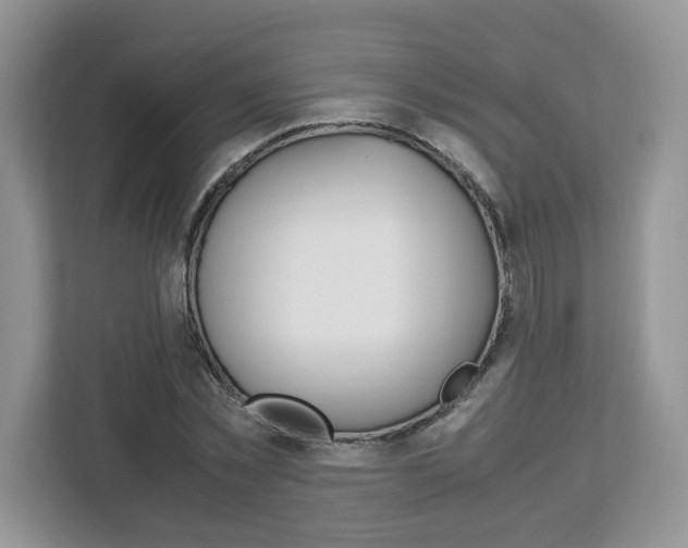 X0000113090781200908281006