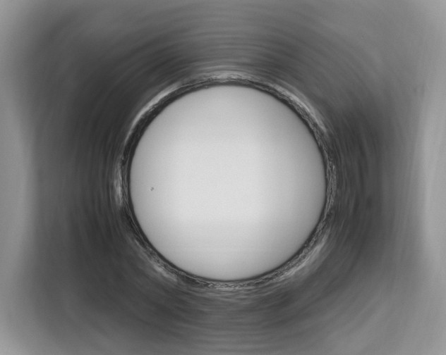 X0000113090782200908281006