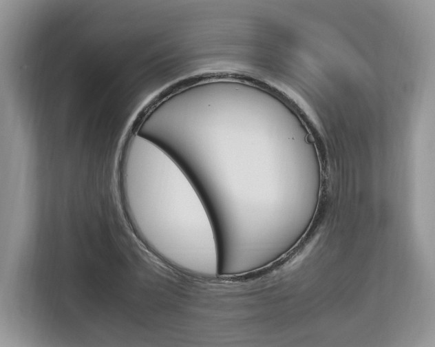 X0000113090783200908281006