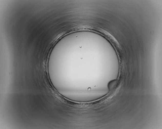 X0000113090785200908281006
