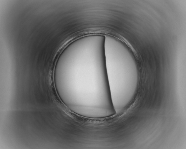 X0000113090786200908281006
