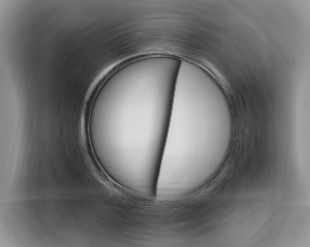 X0000113090788200908281006