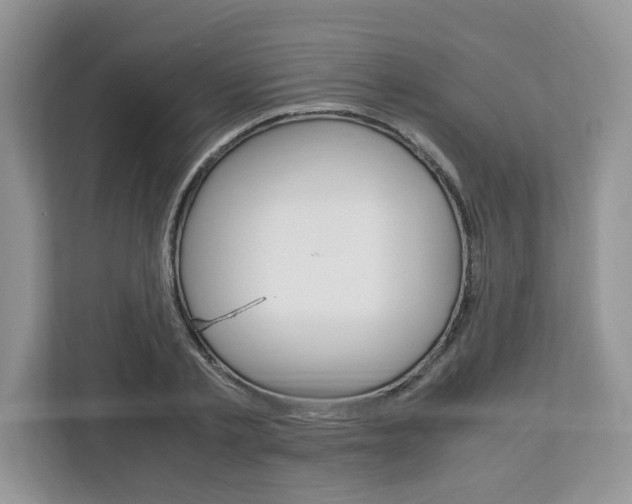 X0000113090789200908281006