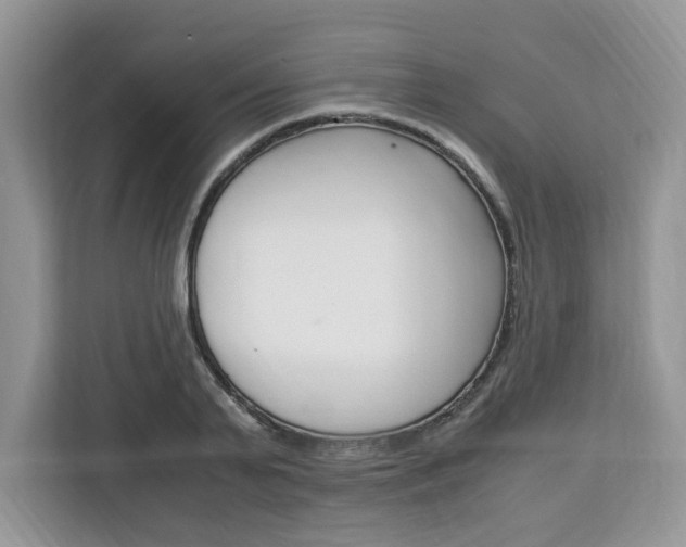 X0000113090791200908281006