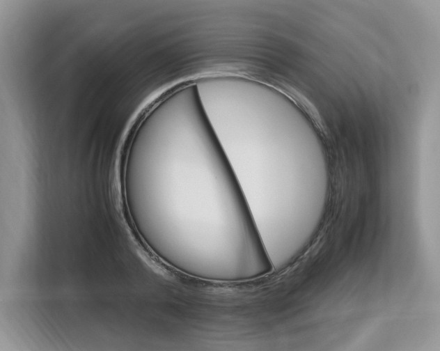 X0000113090792200908281006