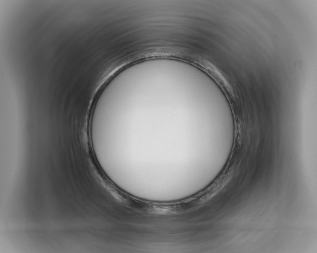 X0000113090794200908281006