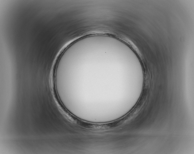 X0000113090795200908281006
