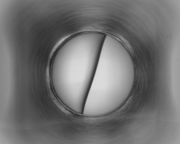X0000113090796200908281006