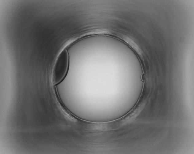 X0000113090797200908281006