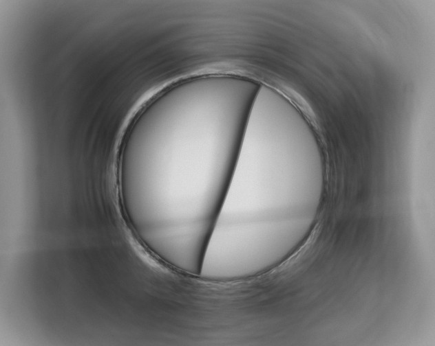 X0000113090800200908281006