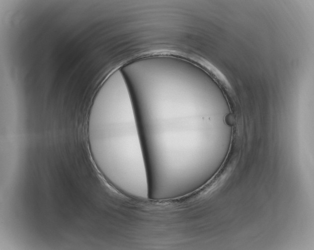 X0000113090801200908281006
