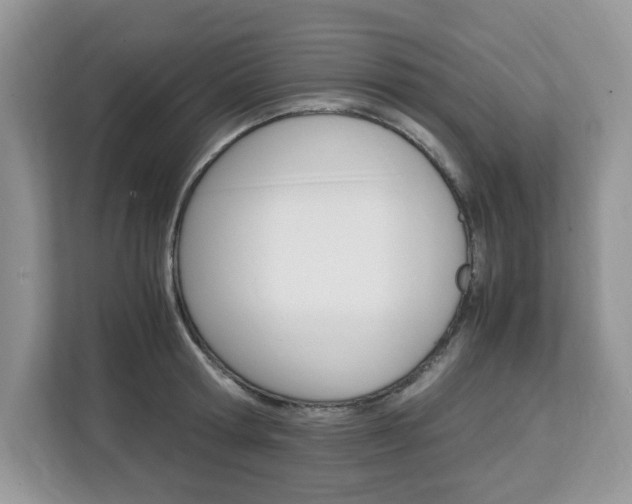 X0000113090802200908281006