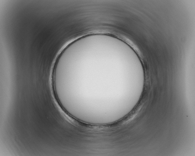 X0000113090803200908281006