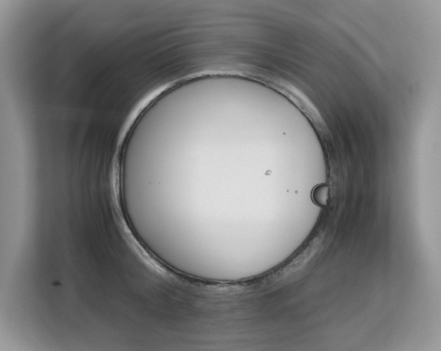 X0000113090804200908281006