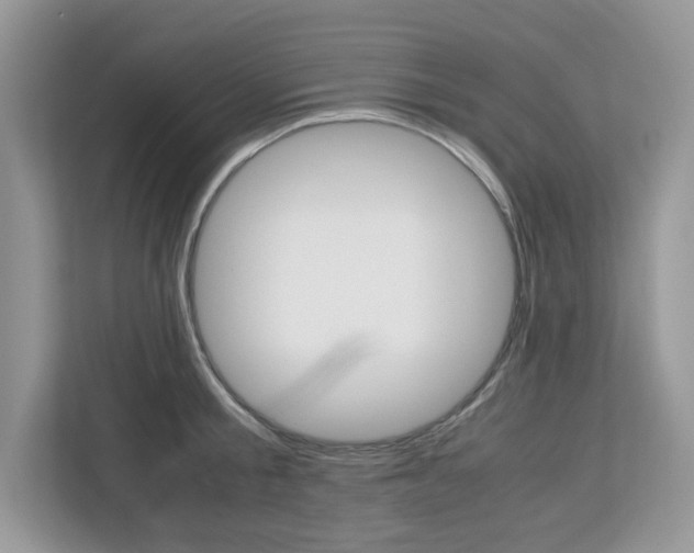 X0000113090805200908281006