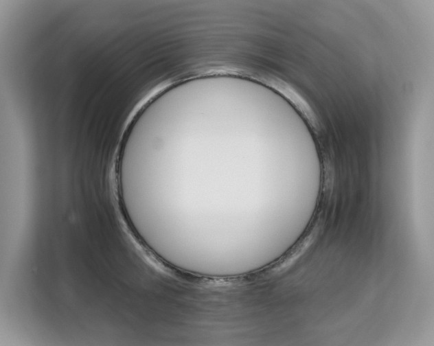X0000113090806200908281006