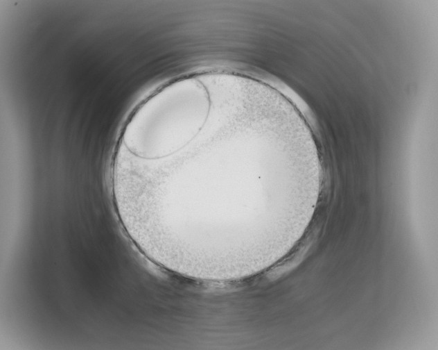 X0000113090807200908281006