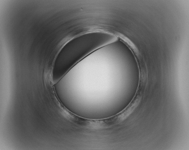 X0000113090809200908281006
