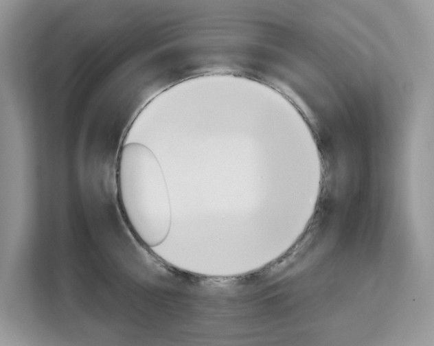 X0000113090810200908281006