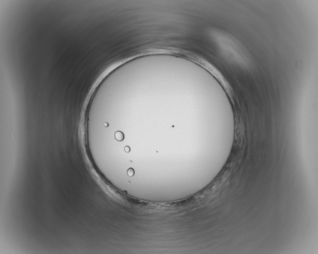 X0000113090811200908281006