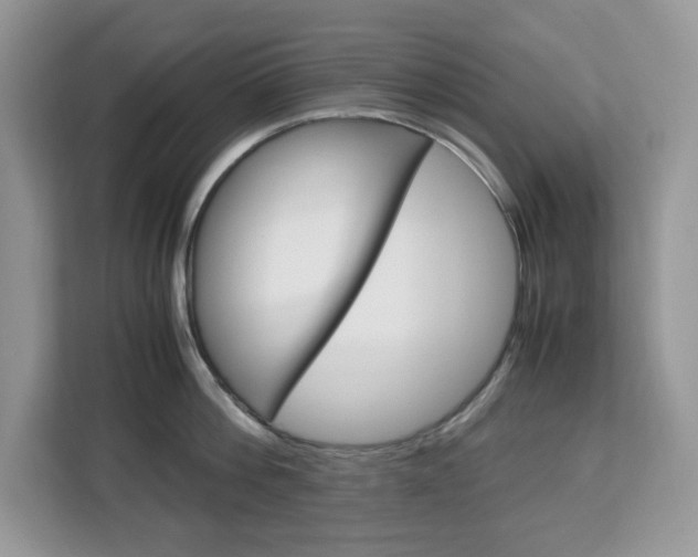 X0000113090812200908281006