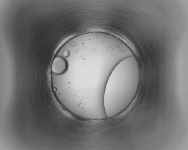 X0000113090814200908281006