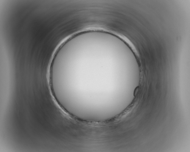 X0000113090815200908281006