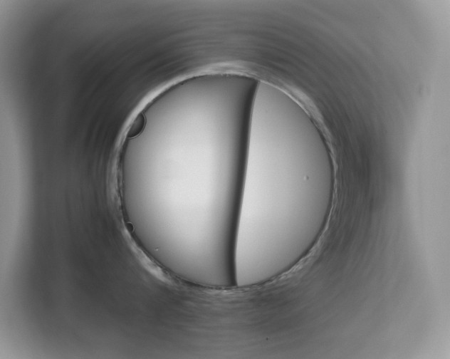 X0000113090816200908281006