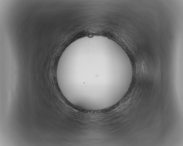 X0000113090817200908281005