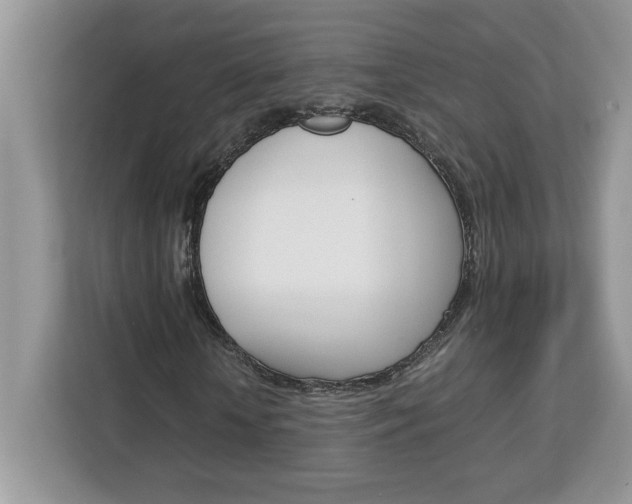 X0000113090818200908281005