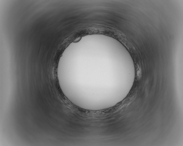 X0000113090819200908281005