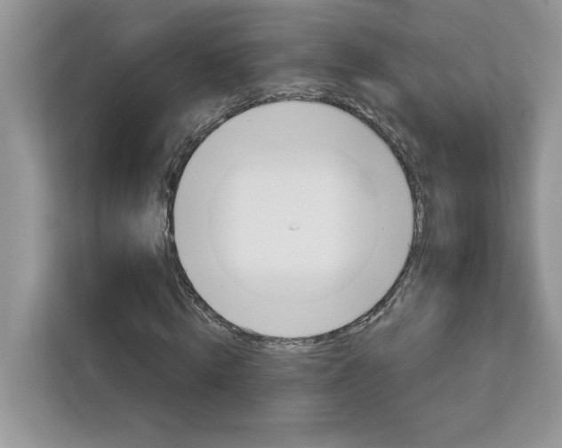 X0000113090820200908281005