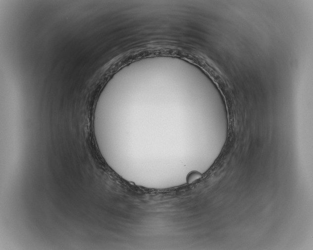 X0000113090821200908281005