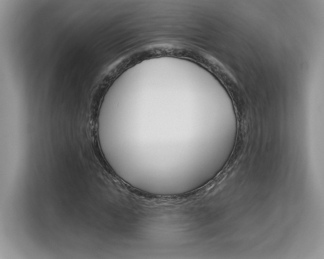 X0000113090822200908281005