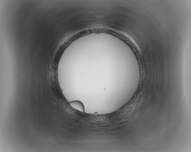 X0000113090823200908281005