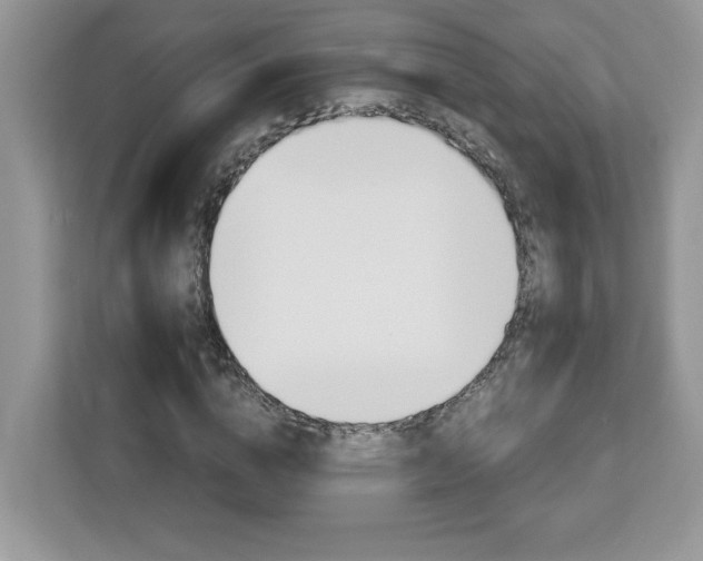 X0000113090824200908281005