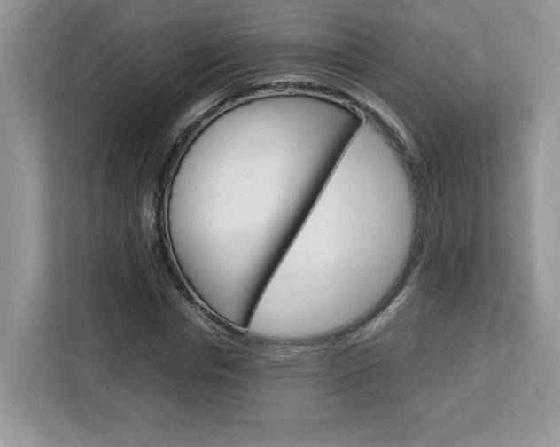 X0000113090826200908281005