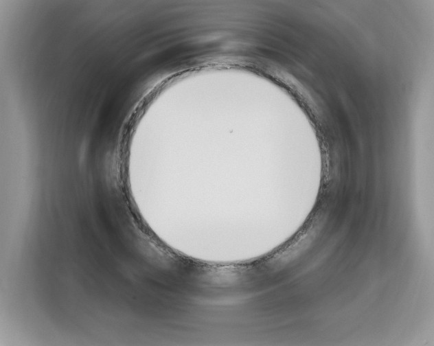X0000113090828200908281005