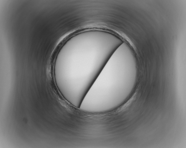 X0000113090830200908281005