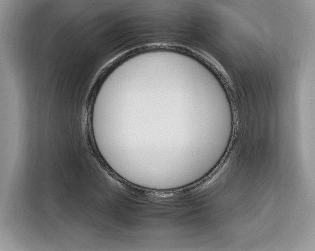 X0000113090831200908281005