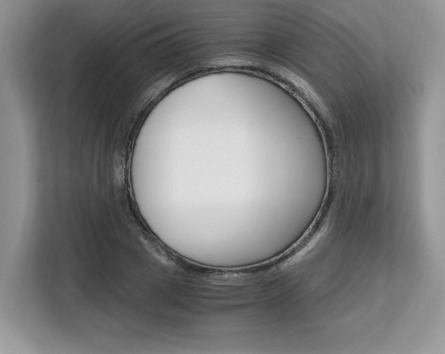 X0000113090833200908281005