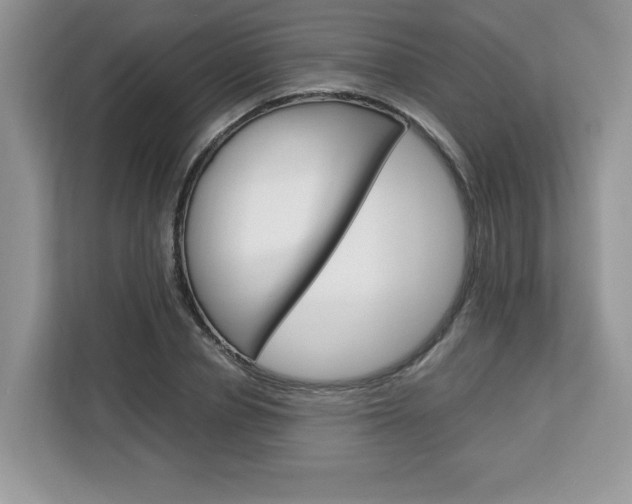 X0000113090834200908281005