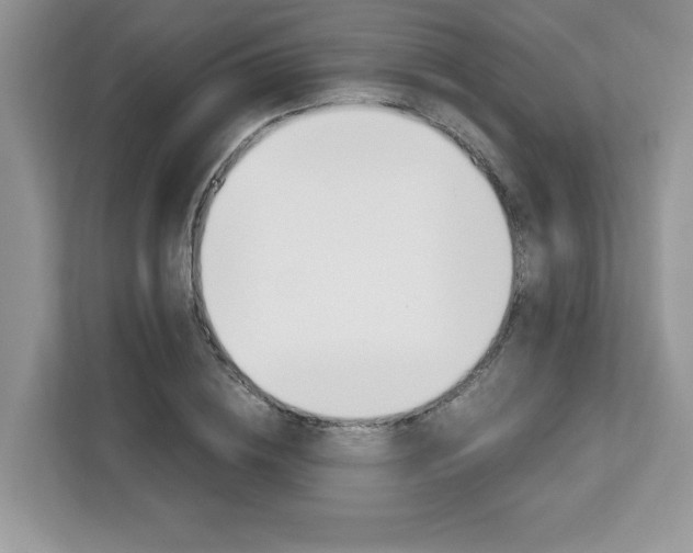X0000113090836200908281005
