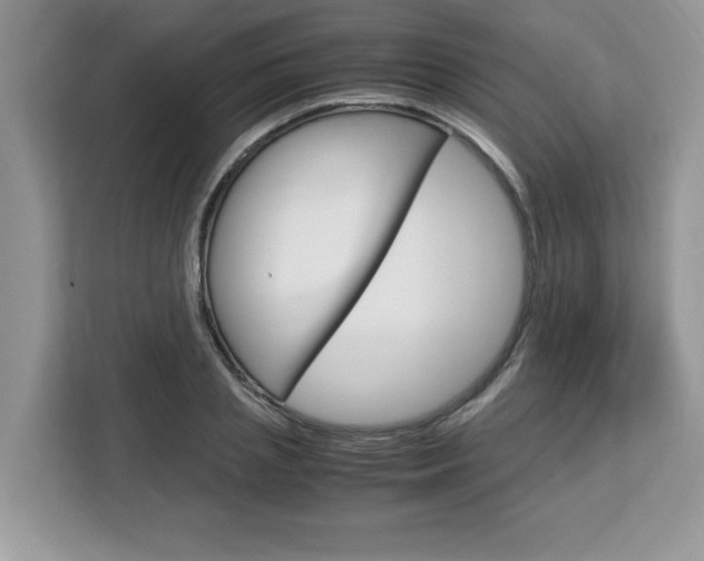 X0000113090837200908281006