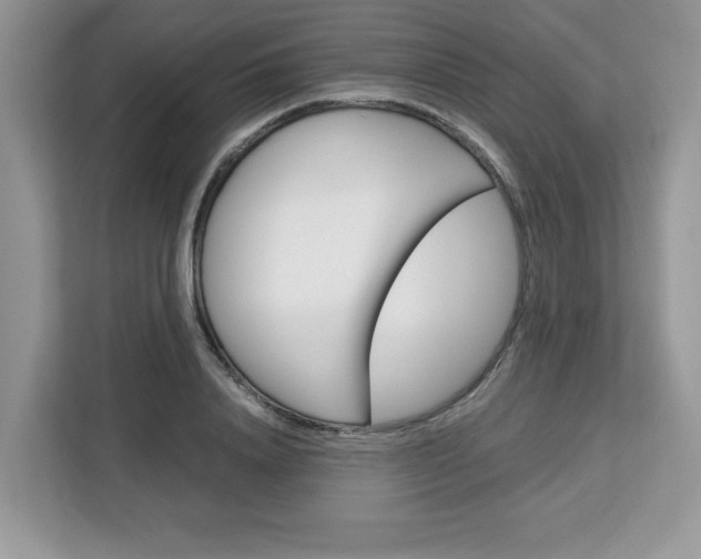 X0000113090840200908281006