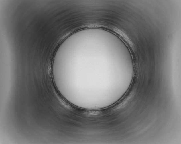 X0000113090841200908281006