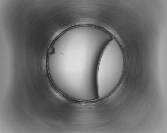 X0000113090842200908281006