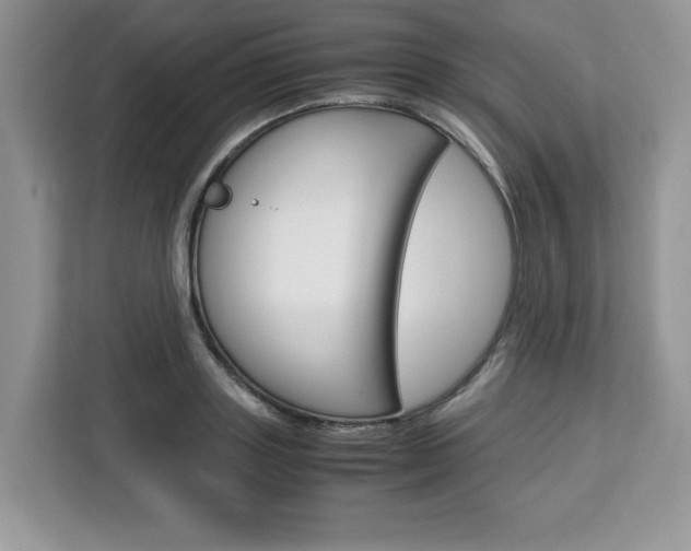 X0000113090843200908281006