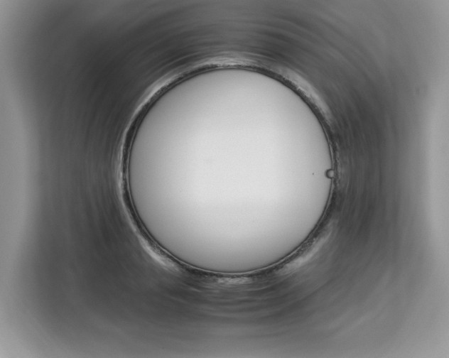 X0000113090845200908281006